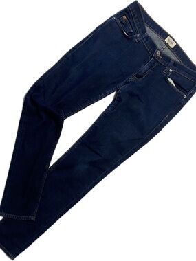 Hudson Jeans Women's Skinny Jeans in Deep Indigo